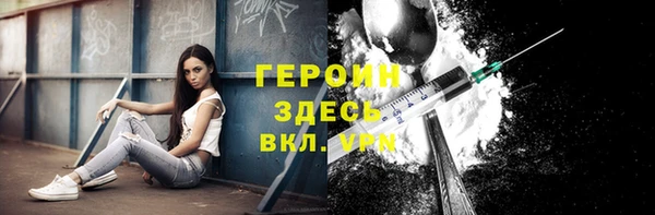 шишки Арсеньев