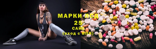 шишки Арсеньев