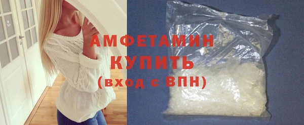 шишки Арсеньев