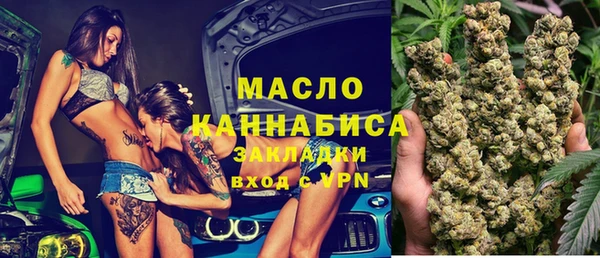 шишки Арсеньев