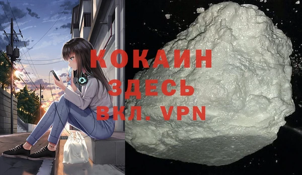 шишки Арсеньев