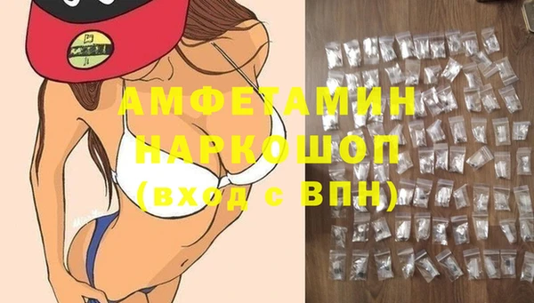 шишки Арсеньев