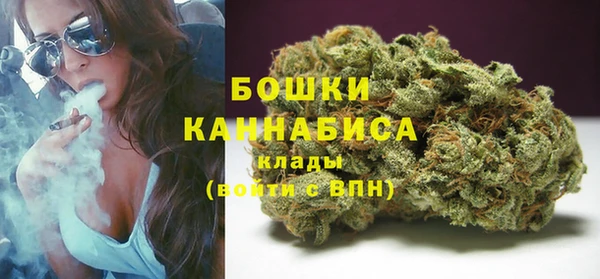 шишки Арсеньев