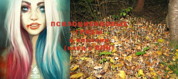 MDMA Premium VHQ Аркадак