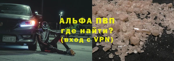 шишки Арсеньев