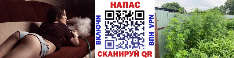 дарнет шоп гидра как войти нарко площадка официальный сайт Партизанск Шишки марихуана White Widow